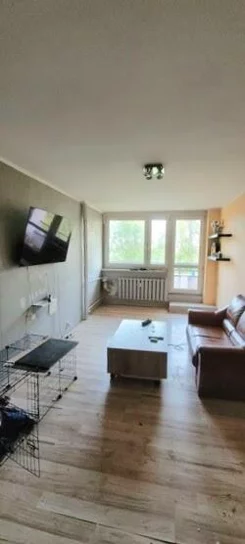 12113 - zdjęcie nr 2