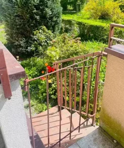 12078 - zdjęcie nr 2