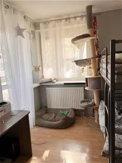 11712 - zdjęcie nr 4