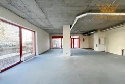 1095 - zdjęcie nr 0