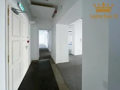 1056 - zdjęcie nr 2