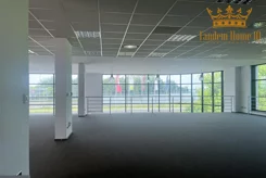906 - zdjęcie nr 4