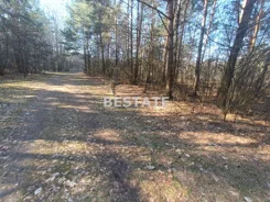 BESP-GS-15304 - zdjęcie nr 4