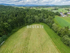 BEST-GS-13489-1 - zdjęcie nr 1