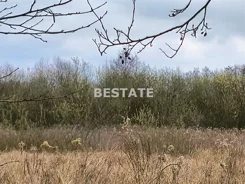 BESW-GS-14785 - zdjęcie nr 2