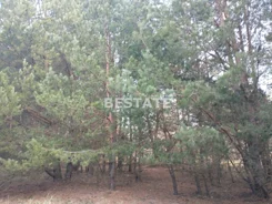 BESW-GS-14754 - zdjęcie nr 0