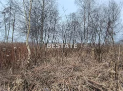 BESW-GS-15244 - zdjęcie nr 2