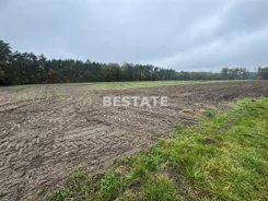 BESP-GS-15117 - zdjęcie nr 4