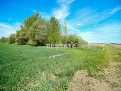 BEST-GS-15419 - zdjęcie nr 3