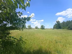 29/17137/OGS - zdjęcie nr 2