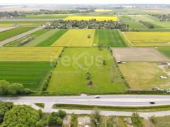 21/17137/OGS - zdjęcie nr 0