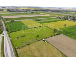 21/17137/OGS - zdjęcie nr 3