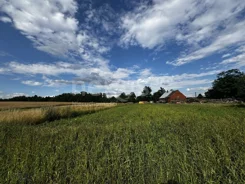 17/17137/OGS - zdjęcie nr 1