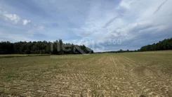 47/17137/OGS - zdjęcie nr 2
