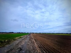 64/17137/OGS - zdjęcie nr 3