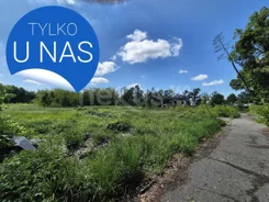 24/17137/OGS - zdjęcie nr 0