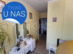 146/17137/OMS - zdjęcie nr 0