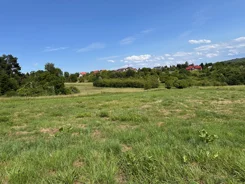 10330259 - zdjęcie nr 2