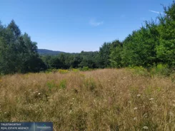 408/10945/OGS - zdjęcie nr 1