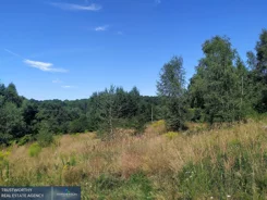 408/10945/OGS - zdjęcie nr 5