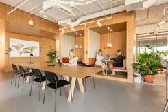86/17808/OLW - zdjęcie nr 4