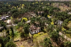 IN455590 - zdjęcie nr 4