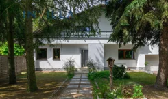 IN817256 - zdjęcie nr 1