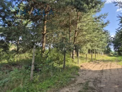 IN847837 - zdjęcie nr 0