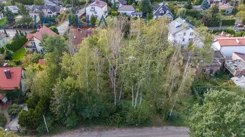 IN986396 - zdjęcie nr 1