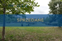 IN740453 - zdjęcie nr 1