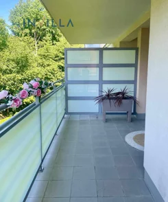 IN584811162 - zdjęcie nr 3