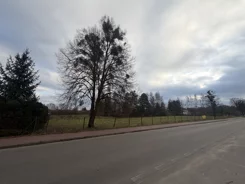 10374486 - zdjęcie nr 3