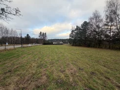 10374486 - zdjęcie nr 4