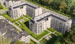137 - zdjęcie nr 1