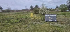 24/14712/OGS - zdjęcie nr 0