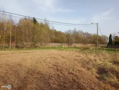 TWJ-GS-1799 - zdjęcie nr 3