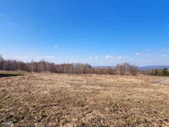 TWJ-GS-2625 - zdjęcie nr 3