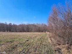 TWJ-GS-2625 - zdjęcie nr 4