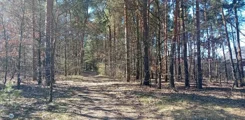 TWJ-GS-2252 - zdjęcie nr 0