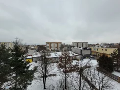 TWJ-MS-2595 - zdjęcie nr 2