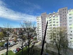 TWJ-MS-2678 - zdjęcie nr 3