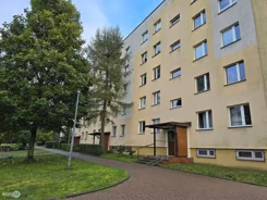 TWJ-MS-2587 - zdjęcie nr 2