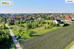 3662/7376/OGS - zdjęcie nr 1