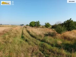 3767/7376/OGS - zdjęcie nr 3
