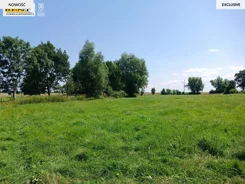 3446/7376/OGS - zdjęcie nr 5