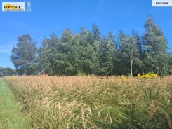 3750/7376/OGS - zdjęcie nr 1