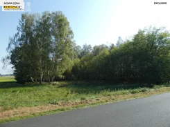3653/7376/OGS - zdjęcie nr 4
