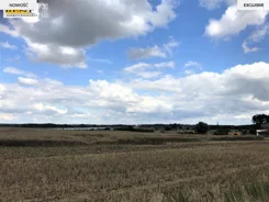 3598/7376/OGS - zdjęcie nr 3