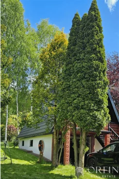 OR017333 - zdjęcie nr 3