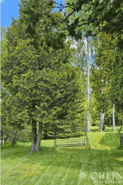 OR017333 - zdjęcie nr 4